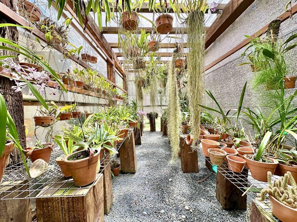 Casa, 5 quartos, 401 m² - Foto 48