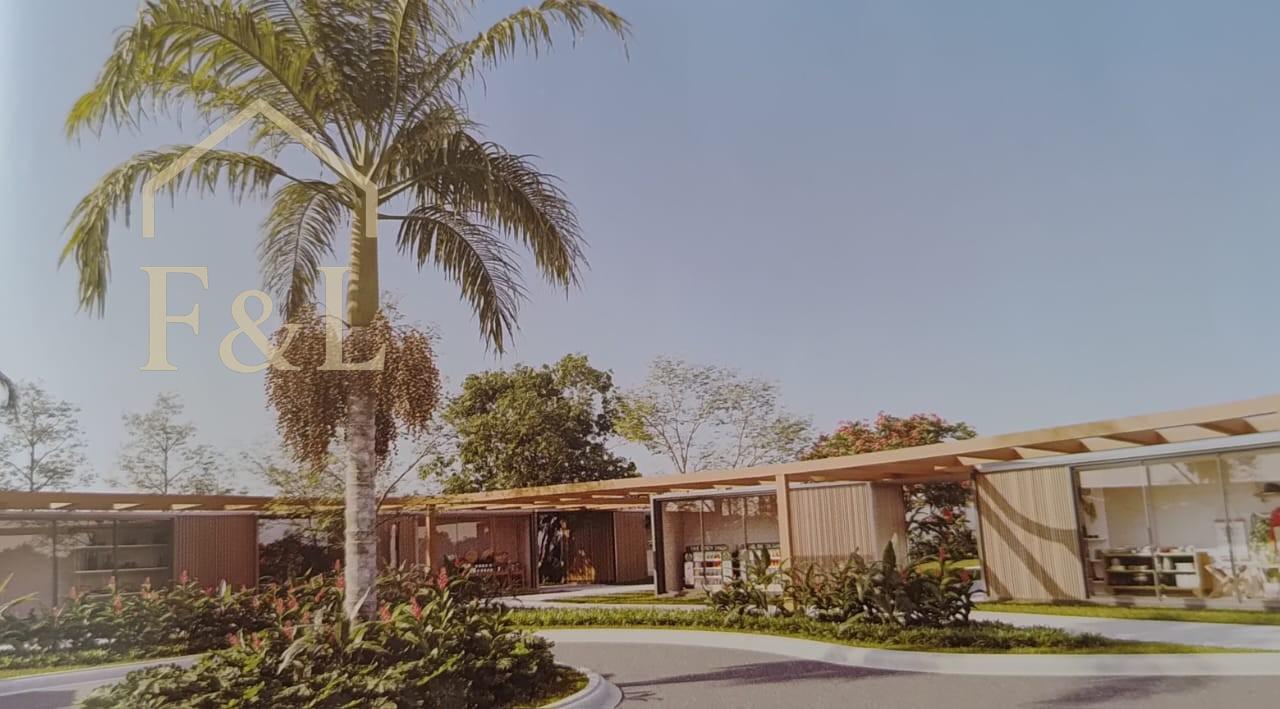 Terreno, 36 hectares - Foto 7