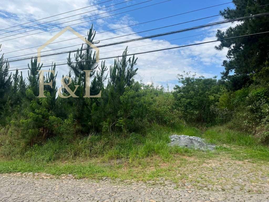 Loteamento e Condomínio, 4973 m² - Foto 3