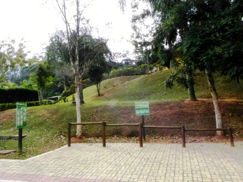 Casa, 5 quartos, 400 m² - Foto 45