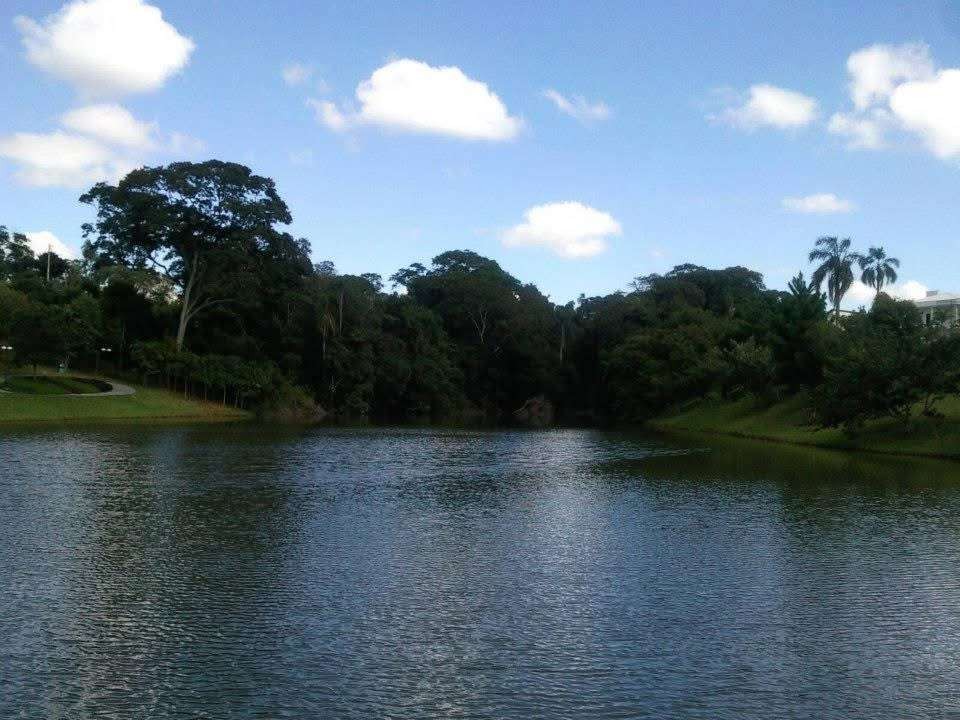 Casa, 3 quartos, 382 m² - Foto 24