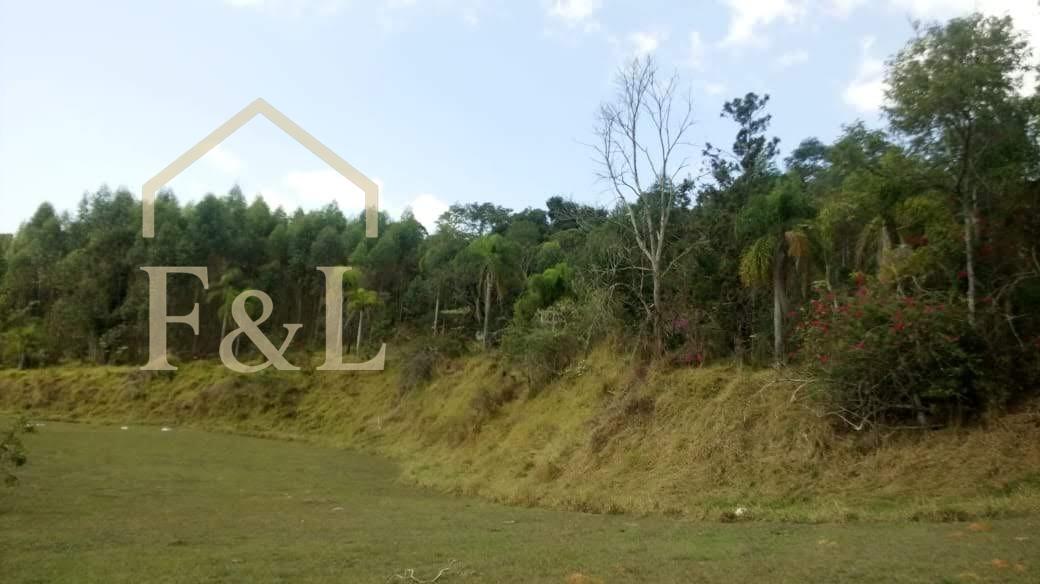 Terreno, 50 hectares - Foto 5