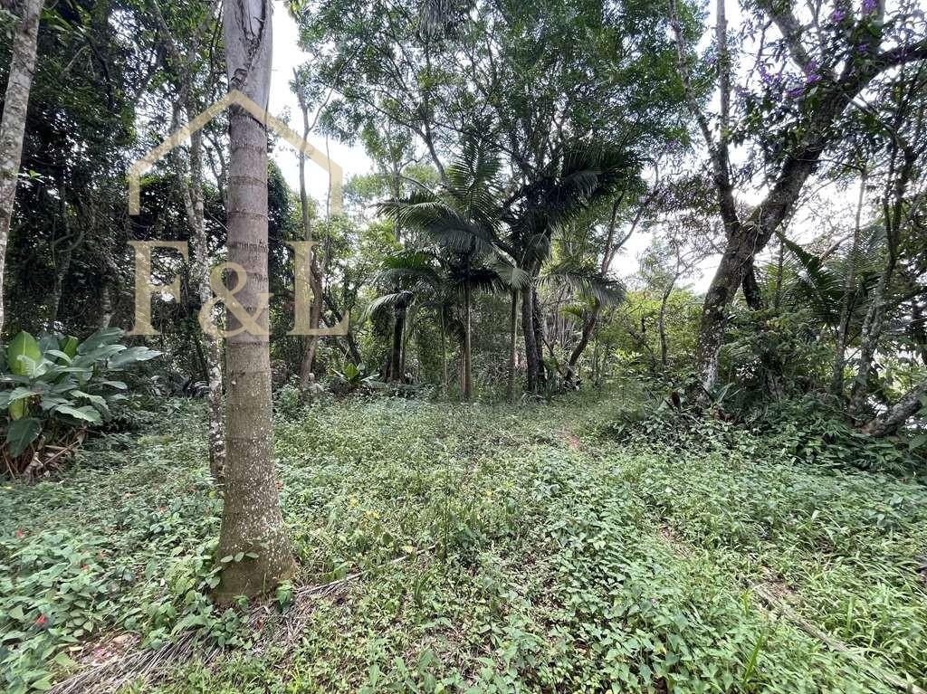 Terreno, 2 hectares - Foto 49