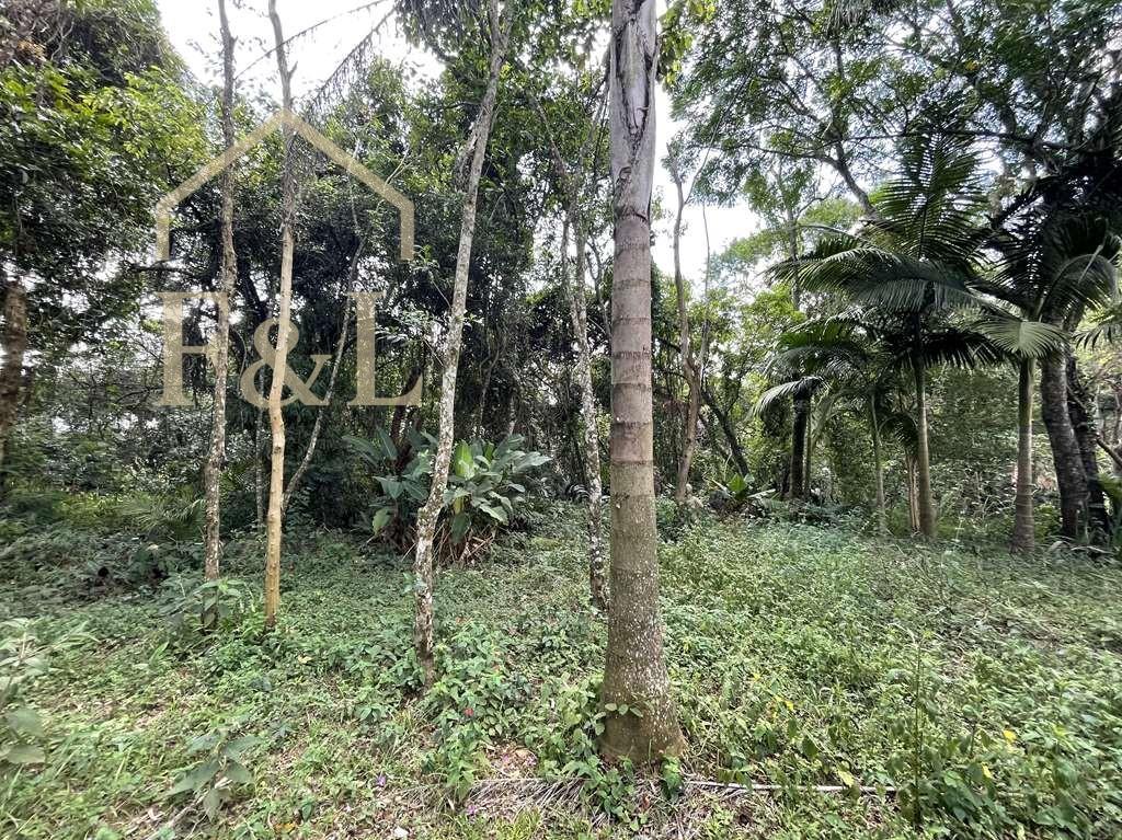 Terreno, 2 hectares - Foto 50