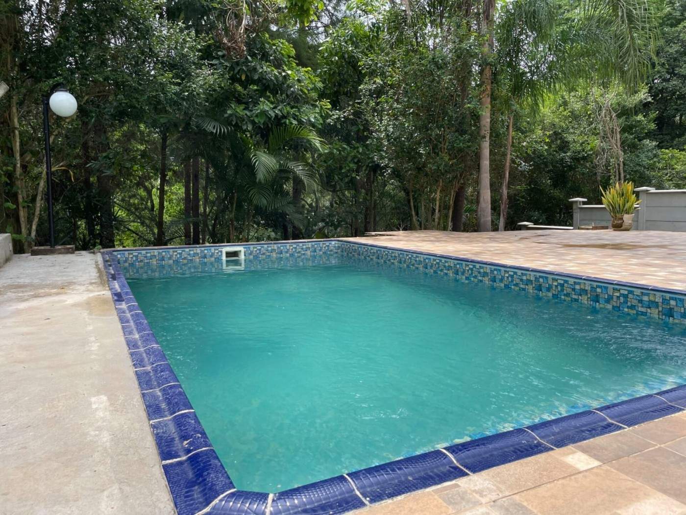 Casa, 5 quartos, 460 m² - Foto 1