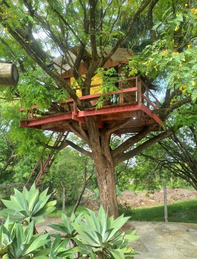 Chácara, 3 quartos, 2044 m² - Foto 12